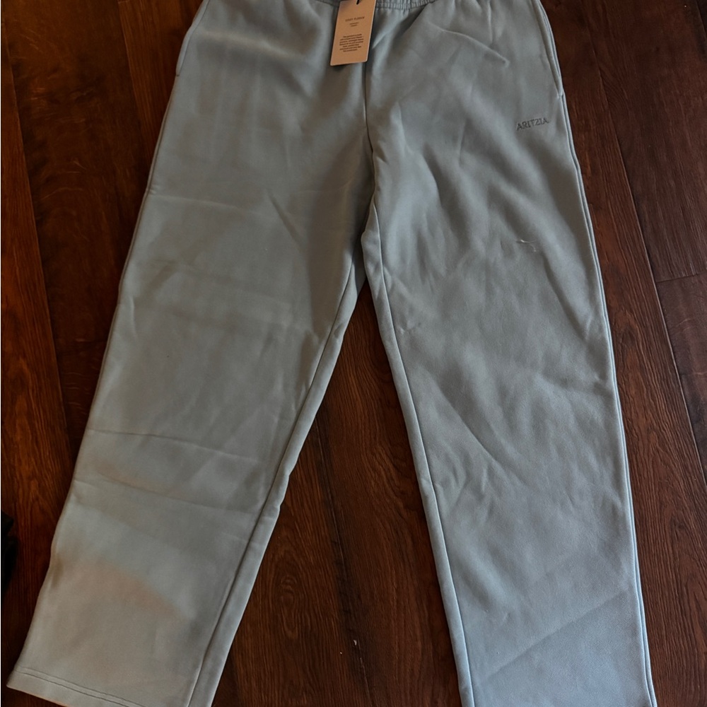 Aritzia Light Blue Sweatpants